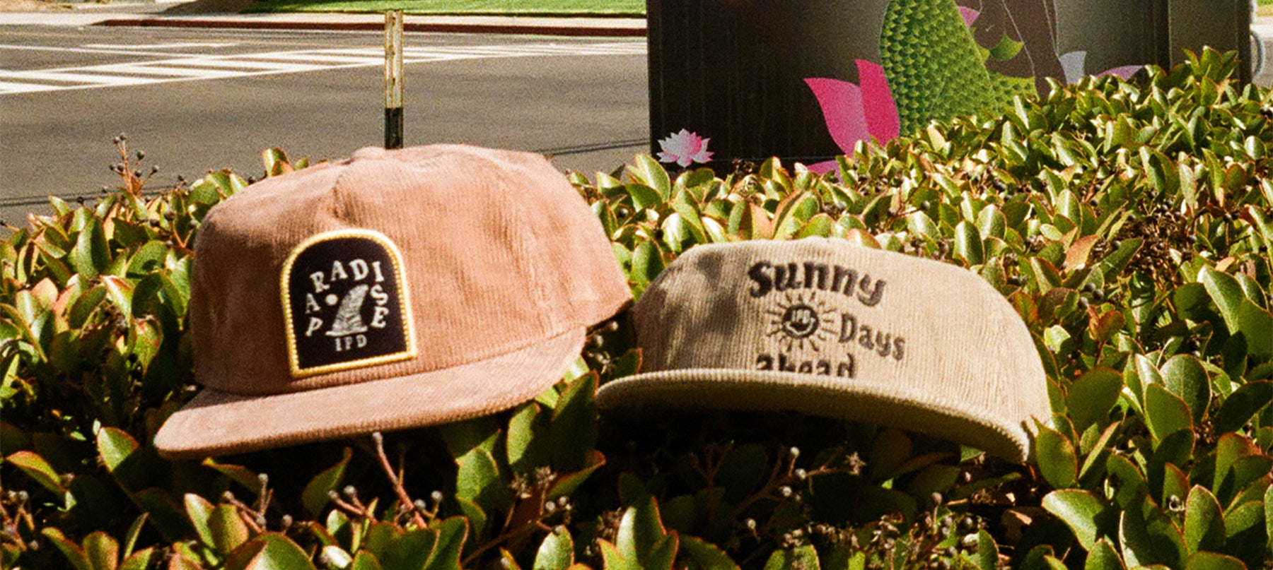 WHY IPD HATS ARE THE ULTIMATE BLEND OF STYLE AND FUNCTION